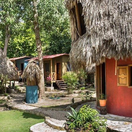 Alice Guesthouse El Remate Exterior foto